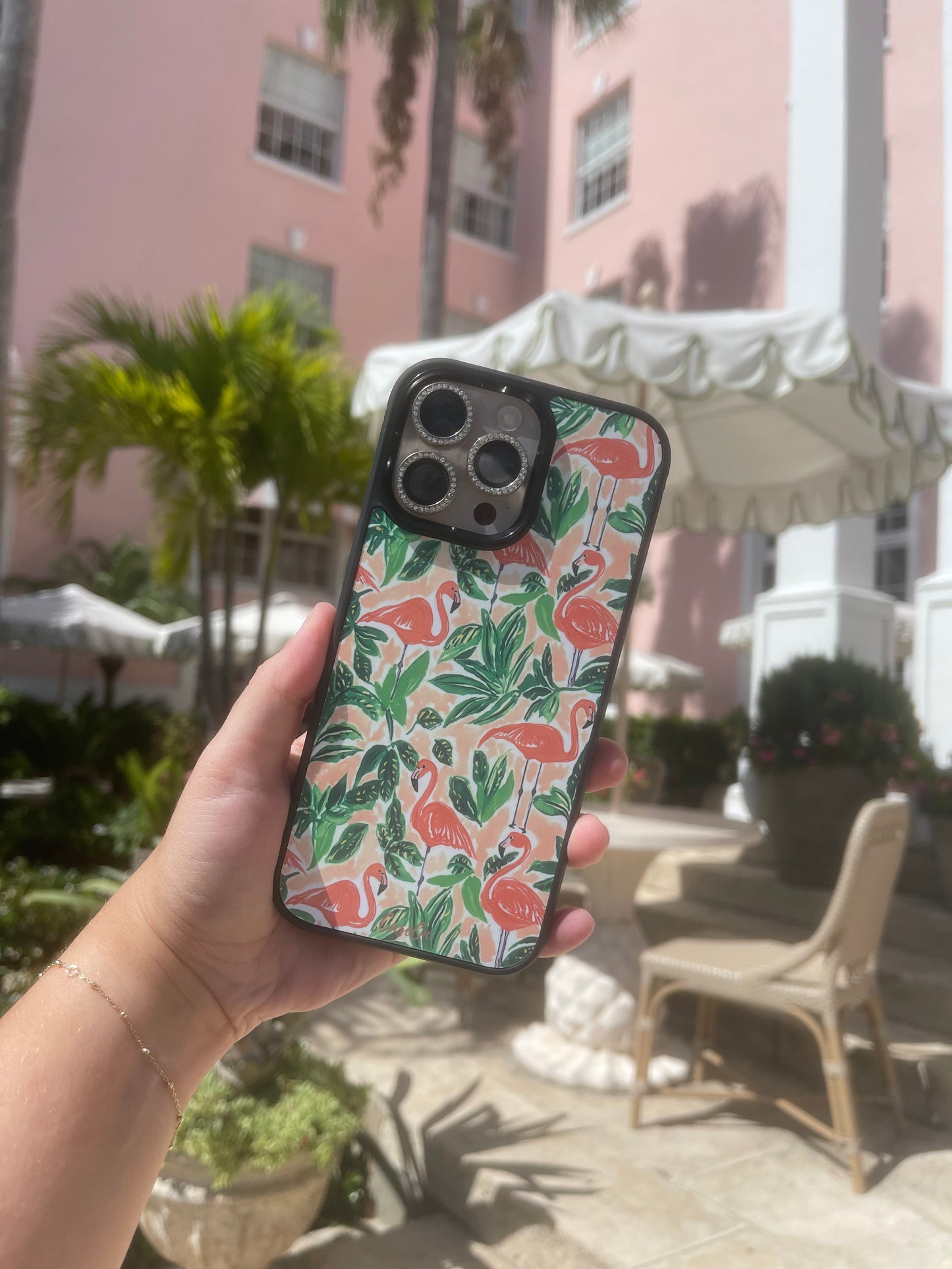 Flamingo Retreat MagSafe Case