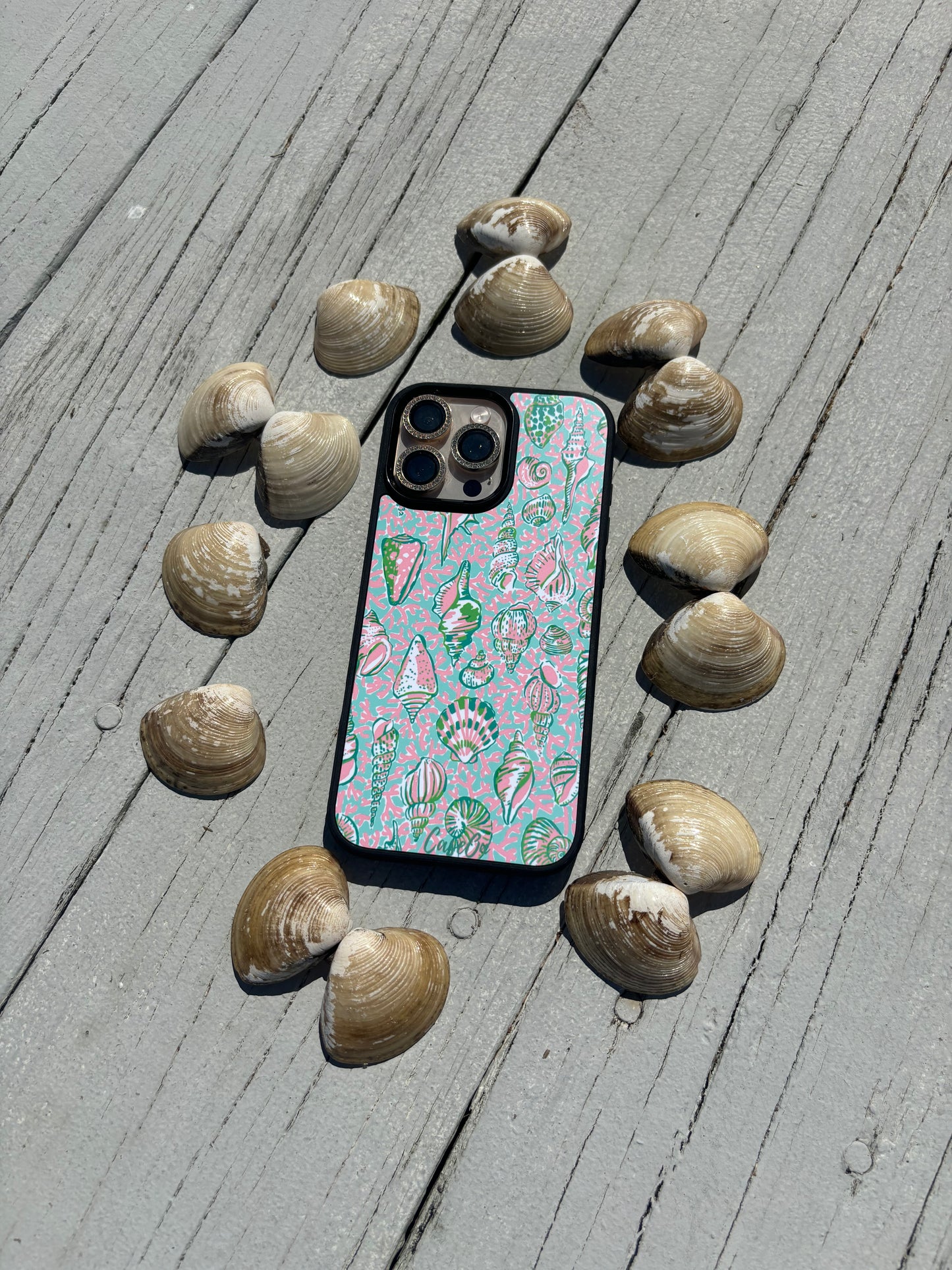 Seaside Chic MagSafe Case